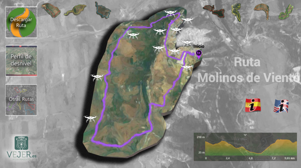 Ruta de los molinos de viento, Vejer