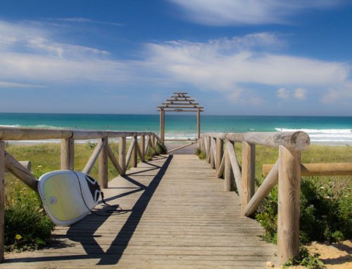 Un día en la playa de El Palmar: la joya escondida de Vejer